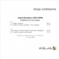 CELIBIDACHE Vol. 15