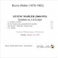 BRUNO WALTER Vol. 3